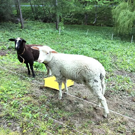 Bastei Апартаменты Rosenthal-Bielatal